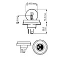 BEC FAR H1 12V P14.5s 55W NEOLUX