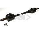 Planetara SPIDAN 20954</br>Piesa auto pentru Angrenare roata