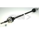 Planetara SPIDAN 24063</br>Piesa auto pentru Categorii