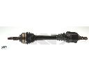 Planetara SPIDAN 24717</br>Piesa auto pentru Angrenare roata
