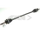 Planetara SPIDAN 24779</br>Piesa auto pentru Angrenare roata