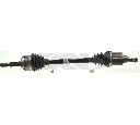 Planetara SPIDAN 25106</br>Piesa auto pentru Categorii