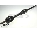 Planetara SPIDAN 25176</br>Piesa auto pentru Categorii