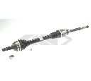 Planetara SPIDAN 25189</br>Piesa auto pentru Angrenare roata
