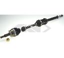 Planetara SPIDAN 25199</br>Piesa auto pentru Angrenare roata