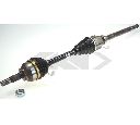 Planetara SPIDAN 25210</br>Piesa auto pentru Angrenare roata