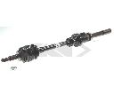 Planetara SPIDAN 25256</br>Piesa auto pentru Angrenare roata