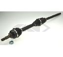 Planetara SPIDAN 25438</br>Piesa auto pentru Angrenare roata