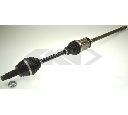 Planetara SPIDAN 25535</br>Piesa auto pentru Angrenare roata