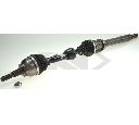 Planetara SPIDAN 25713</br>Piesa auto pentru Angrenare roata