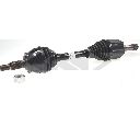 Planetara SPIDAN 25732</br>Piesa auto pentru Categorii
