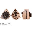 Generator / Alternator ELSTOCK 27-0671