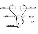 Curea de distributie FLENNOR 4176V