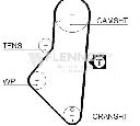 Curea de distributie FLENNOR 4949V