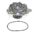 Pompa apa FLENNOR FWP70022</br>Piesa auto pentru Pompa apa/ Garnitura