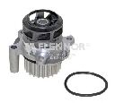Pompa apa FLENNOR FWP70040</br>Piesa auto pentru Pompa apa/ Garnitura