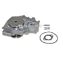 Pompa apa FLENNOR FWP70319</br>Piesa auto pentru Pompa apa/ Garnitura