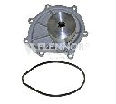 Pompa apa FLENNOR FWP70617</br>Piesa auto pentru Pompa apa/ Garnitura