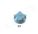 Buson,radiator ASHIKA 33-00-004</br>Piesa auto pentru Categorii