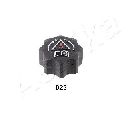Buson,radiator ASHIKA 33-00-025</br>Piesa auto pentru Radiator racire apa/ ulei