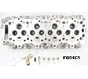 Chiulasa ASHIKA FO01ES</br>Piesa auto pentru Chiuloasa/piese