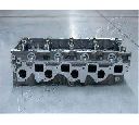 Chiulasa ASHIKA NS009S</br>Piesa auto pentru Chiuloasa/piese