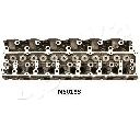 Chiulasa ASHIKA NS019S</br>Piesa auto pentru Chiuloasa/piese