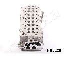 Chiulasa ASHIKA NS022S</br>Piesa auto pentru Chiuloasa/piese