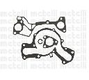 Pompa apa CIFAM 824-1012</br>Piesa auto pentru Pompa apa/ Garnitura