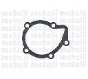 Pompa apa CIFAM 824-348</br>Piesa auto pentru Pompa apa/ Garnitura