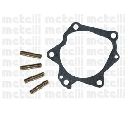 Pompa apa CIFAM 824-539</br>Piesa auto pentru Pompa apa/ Garnitura