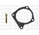 Pompa apa CIFAM 824-589A</br>Piesa auto pentru Pompa apa/ Garnitura
