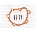 Pompa apa CIFAM 824-771</br>Piesa auto pentru Pompa apa/ Garnitura