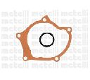 Pompa apa CIFAM 824-776</br>Piesa auto pentru Pompa apa/ Garnitura