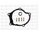 Pompa apa CIFAM 824-780</br>Piesa auto pentru Pompa apa/ Garnitura