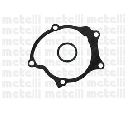 Pompa apa CIFAM 824-789</br>Piesa auto pentru Pompa apa/ Garnitura