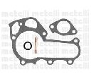 Pompa apa CIFAM 824-921</br>Piesa auto pentru Pompa apa/ Garnitura