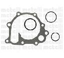 Pompa apa CIFAM 824-929</br>Piesa auto pentru Pompa apa/ Garnitura
