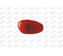Semnalizator PRASCO AA0704039