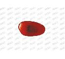 Semnalizator PRASCO AA0704139