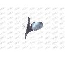 Oglinda exterioara PRASCO AA6407354</br>Piesa auto pentru Celula pasager