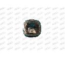 Semnalizator PRASCO AD0174043