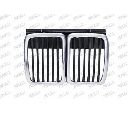 Grila radiator PRASCO BM0102001