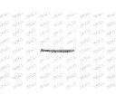 Banda de protectie, bara de protectie PRASCO BM0181254</br>Piesa auto pentru Elemente/Piese montaj