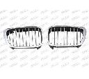 Grila radiator PRASCO BM0182033
