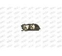 Far PRASCO BM0184903