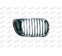 Grila radiator PRASCO BM0202003</br>Piesa auto pentru Elemente/Piese montaj