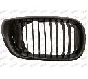 Grila radiator PRASCO BM0202023</br>Piesa auto pentru Elemente/Piese montaj