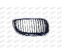 Grila radiator PRASCO BM0252013