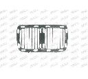 Grila radiator PRASCO BM0422001